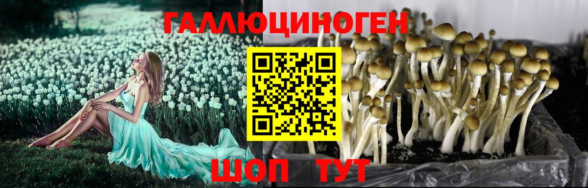 Галлюциногенные грибы прущие грибы Кумертау